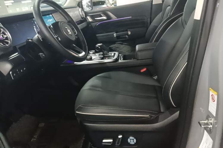 Used Tank 300 2021 City Edition 2.0T—Truly Stylish Left Front Seat