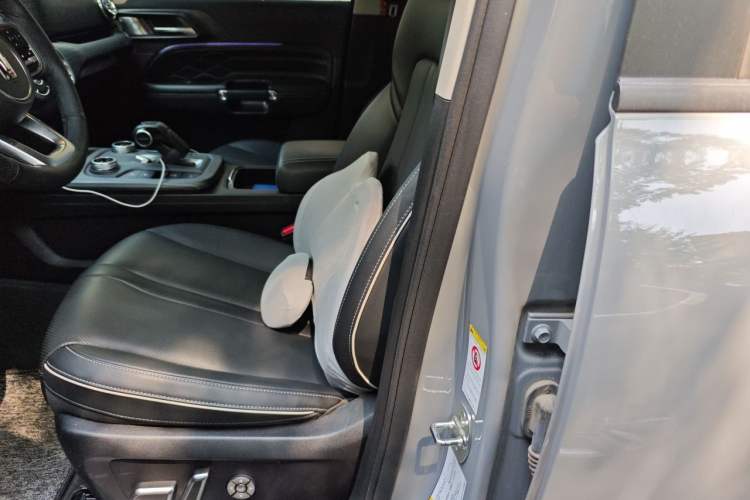 Used Tank 300 2021 City Edition 2.0T—Truly Stylish Left Front Seat