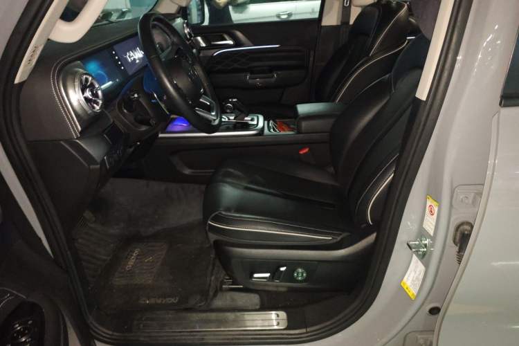 Used Tank 300 2021 City Edition 2.0T—Truly Stylish Left Front Seat