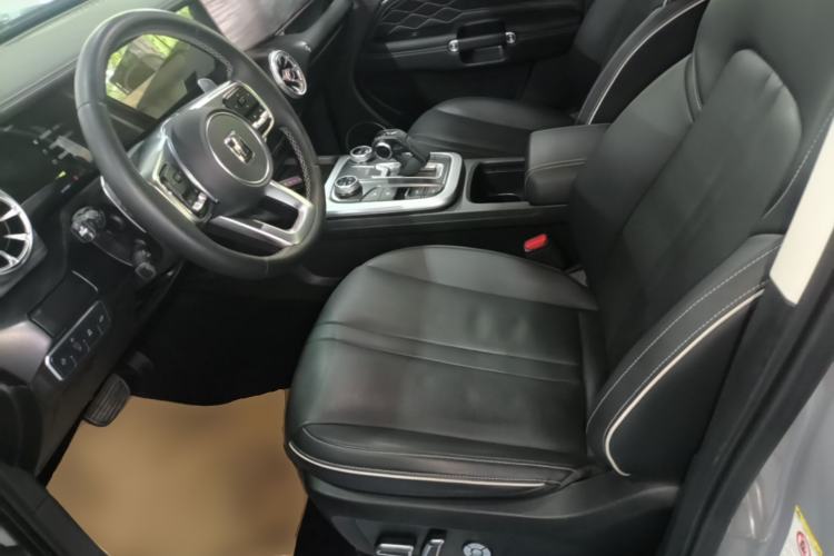 Used Tank 300 2021 City Edition 2.0T—Truly Stylish Left Front Seat