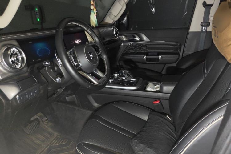 Used Tank 300 2021 City Edition 2.0T—Truly Stylish Left Front Seat
