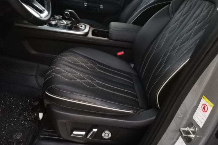 Used Tank 300 2021 Off-Road Edition 2.0T Challenger Left Front Seat
