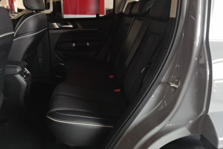 Used Tank 300 2021 City Edition 2.0T—Truly Stylish Left Rear Seat