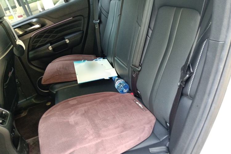 Used Tank 300 2021 Off-Road Edition 2.0T Conqueror Left Rear Seat