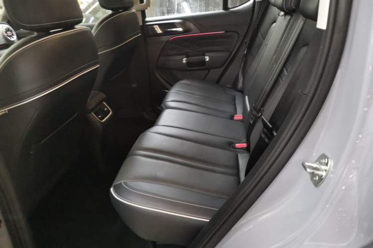 Used Tank 300 2021 City Edition 2.0T—Truly Stylish Left Rear Seat