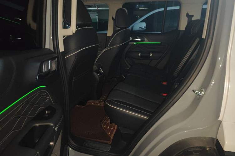 Used Tank 300 2021 City Edition 2.0T—Truly Stylish Left Rear Seat