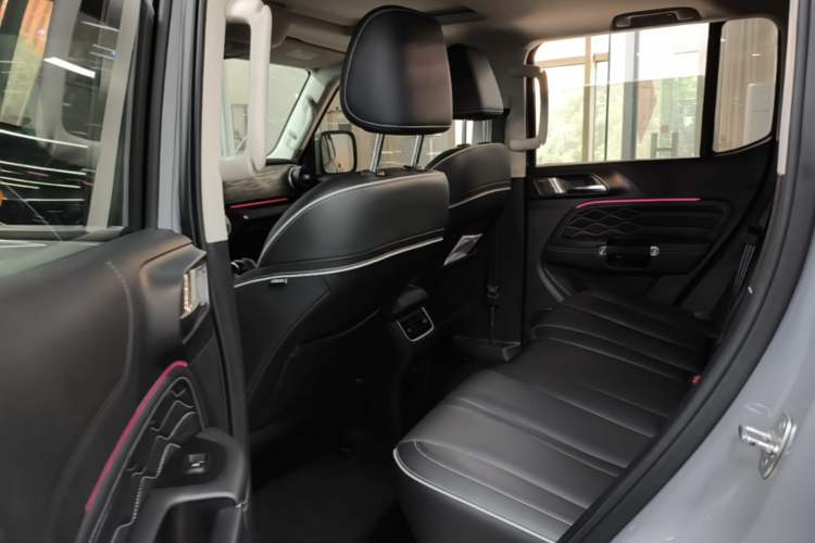 Used Tank 300 2021 City Edition 2.0T—Truly Stylish Left Rear Seat
