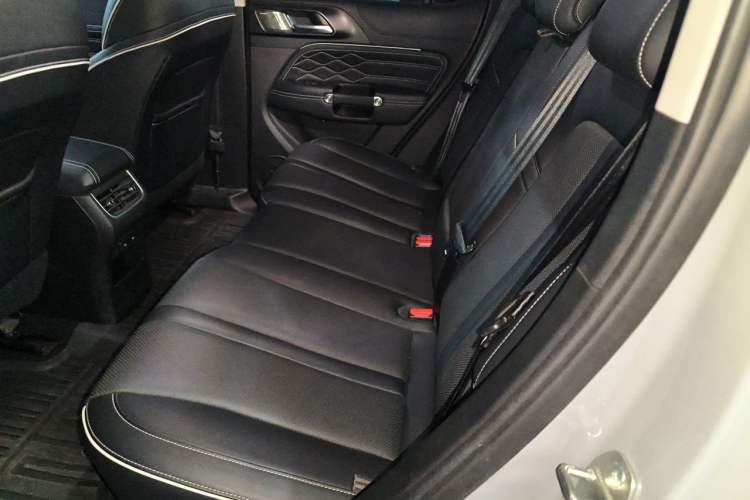 Used Tank 300 2021 City Edition 2.0T—Truly Stylish Left Rear Seat