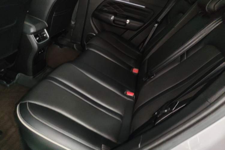 Used Tank 300 2021 Off-Road Edition 2.0T Conqueror Left Rear Seat