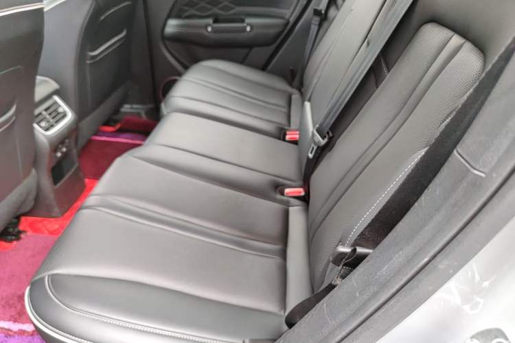 Used Tank 300 2021 Off-Road Edition 2.0T Conqueror Left Rear Seat