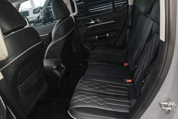 Used Tank 300 2021 City Edition 2.0T My Vision Model Left Rear Seat