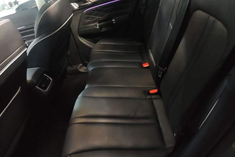 Used Tank 300 2021 City Edition 2.0T—Truly Stylish Left Rear Seat