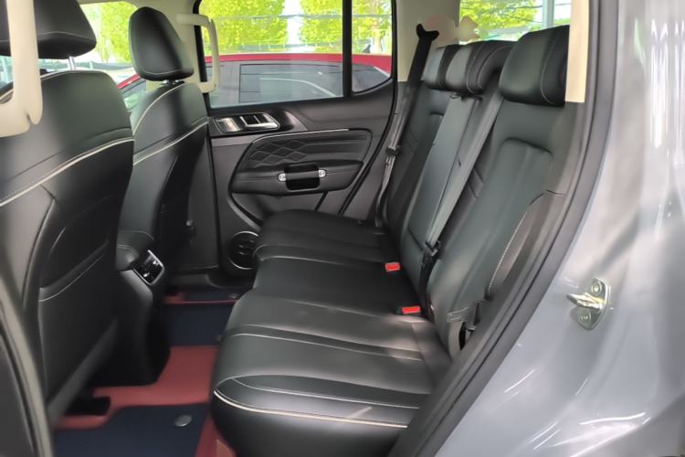 Used Tank 300 2021 City Edition 2.0T—Truly Stylish Left Rear Seat