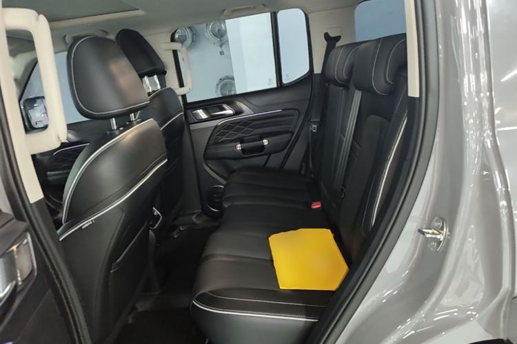 Used Tank 300 2021 City Edition 2.0T—Truly Stylish Left Rear Seat