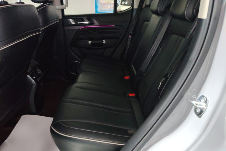 Used Tank 300 2021 City Edition 2.0T—Truly Stylish Left Rear Seat