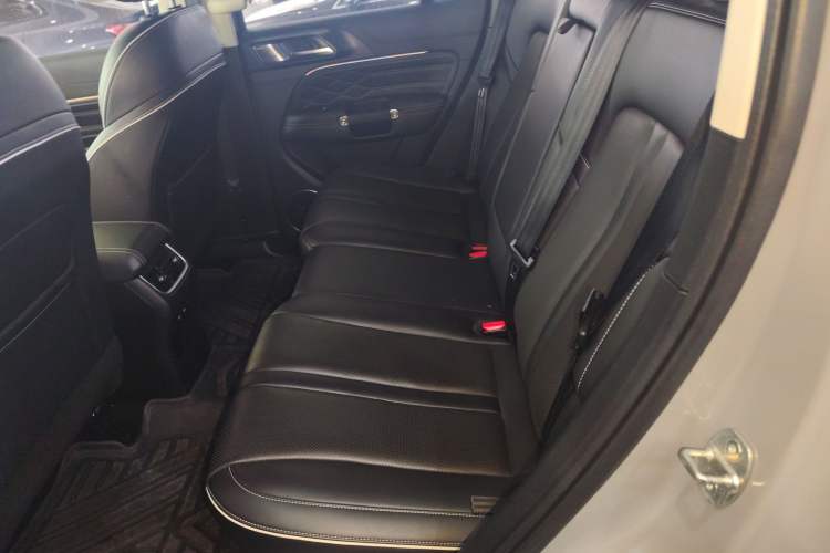 Used Tank 300 2021 Off-Road Edition 2.0T Conqueror Left Rear Seat