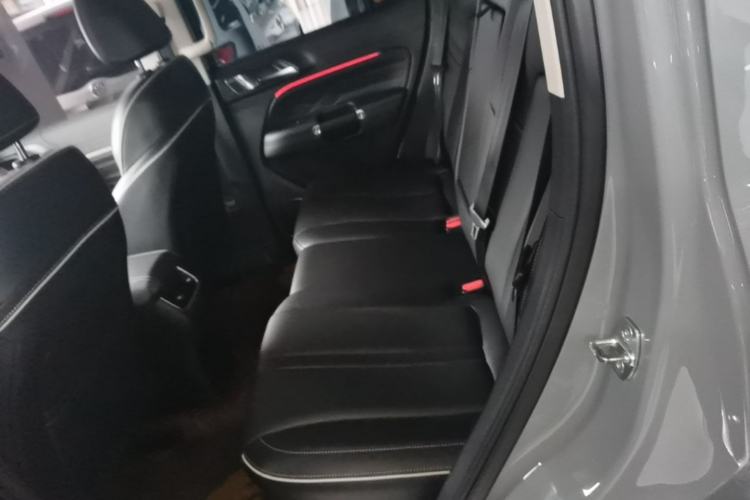 Used Tank 300 2021 City Edition 2.0T—Truly Stylish Left Rear Seat