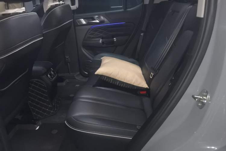 Used Tank 300 2021 Off-Road Edition 2.0T Conqueror Left Rear Seat