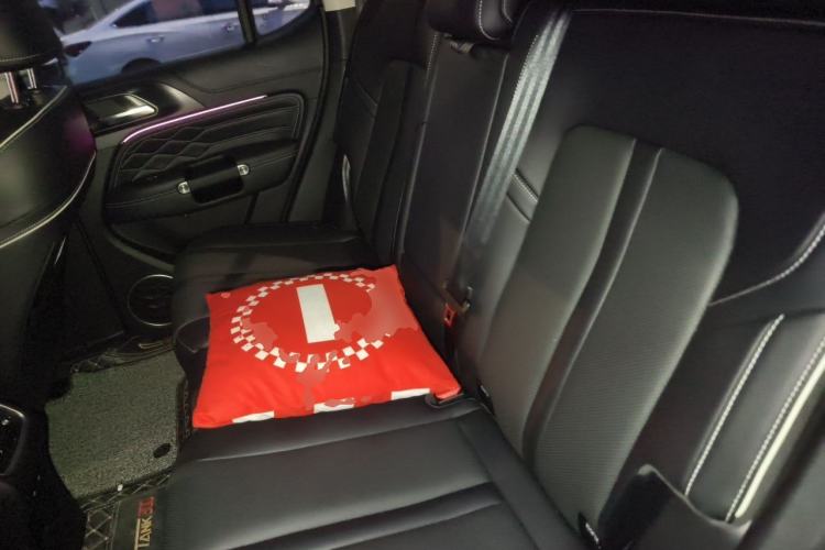 Used Tank 300 2021 City Edition 2.0T—Truly Stylish Left Rear Seat