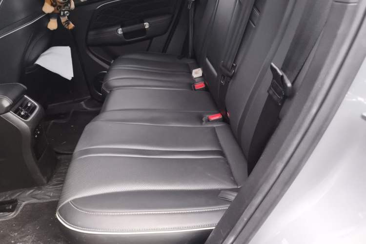 Used Tank 300 2021 City Edition 2.0T—Truly Stylish Left Rear Seat