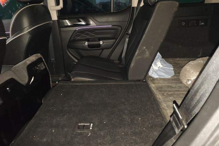 Used Tank 300 2021 Off-Road Edition 2.0T Conqueror Left Rear Seat