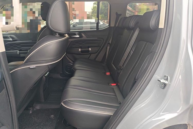 Used Tank 300 2021 City Edition 2.0T—Truly Stylish Left Rear Seat