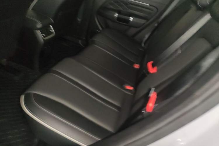 Used Tank 300 2021 Off-Road Edition 2.0T Conqueror Left Rear Seat