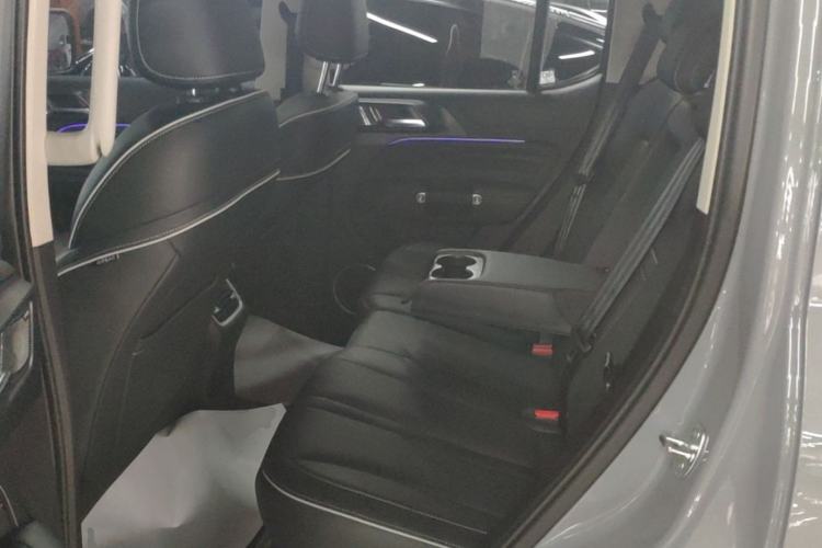 Used Tank 300 2021 City Edition 2.0T—Truly Stylish Left Rear Seat