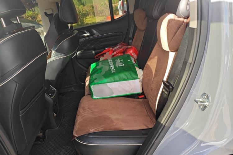 Used Tank 300 2021 City Edition 2.0T—Truly Stylish Left Rear Seat