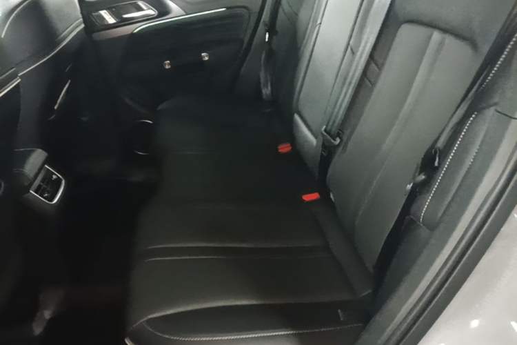 Used Tank 300 2021 City Edition 2.0T—Truly Stylish Left Rear Seat