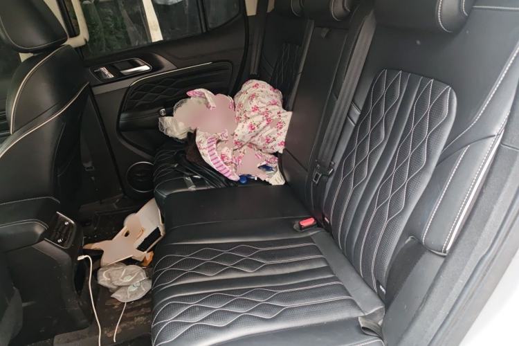 Used Tank 300 2021 Off-Road Edition 2.0T Challenger Left Rear Seat
