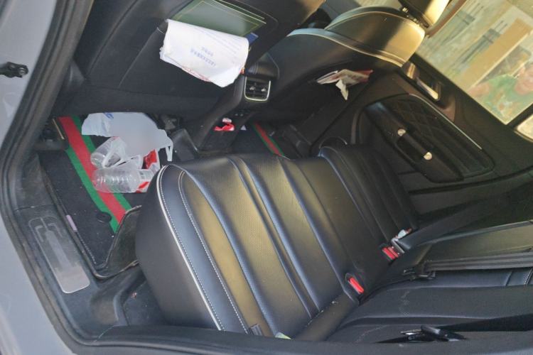 Used Tank 300 2021 Off-Road Edition 2.0T Conqueror Left Rear Seat