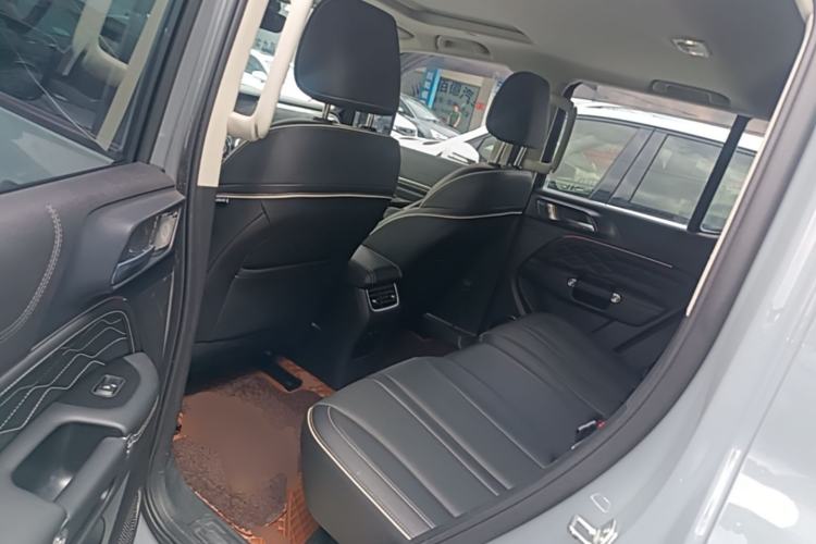 Used Tank 300 2021 City Edition 2.0T—Truly Stylish Left Rear Seat