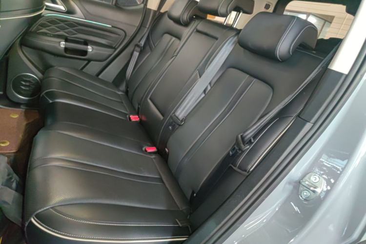 Used Tank 300 2021 Off-Road Edition 2.0T Conqueror Left Rear Seat