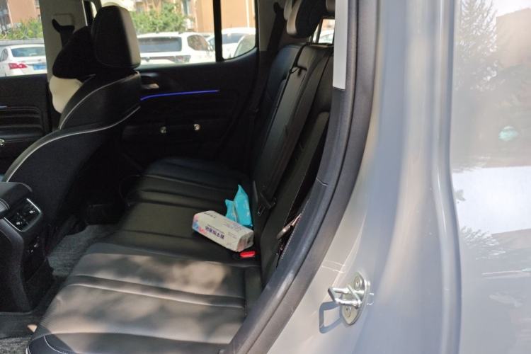 Used Tank 300 2021 City Edition 2.0T—Truly Stylish Left Rear Seat