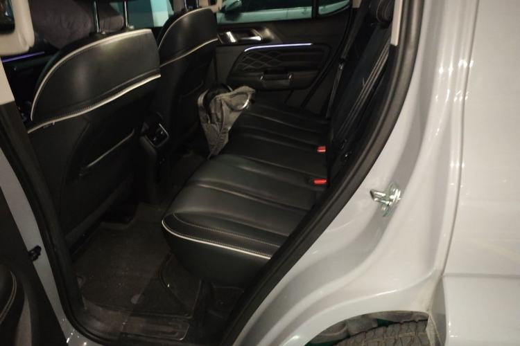 Used Tank 300 2021 City Edition 2.0T—Truly Stylish Left Rear Seat