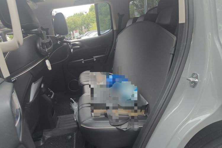 Used Tank 300 2021 City Edition 2.0T—Truly Stylish Left Rear Seat