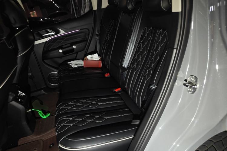Used Tank 300 2021 Off-Road Edition 2.0T Challenger Left Rear Seat
