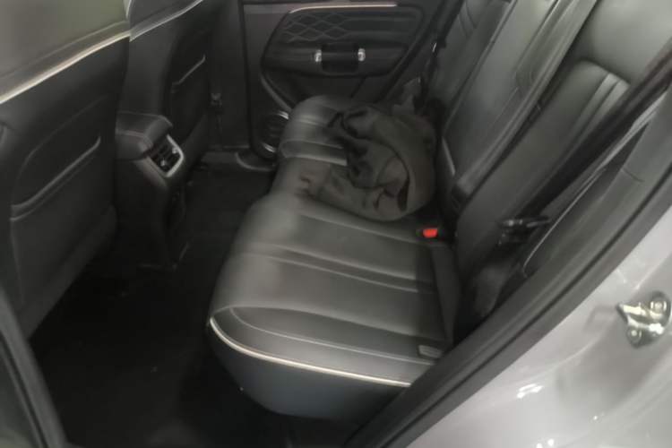 Used Tank 300 2021 City Edition 2.0T—Truly Stylish Left Rear Seat