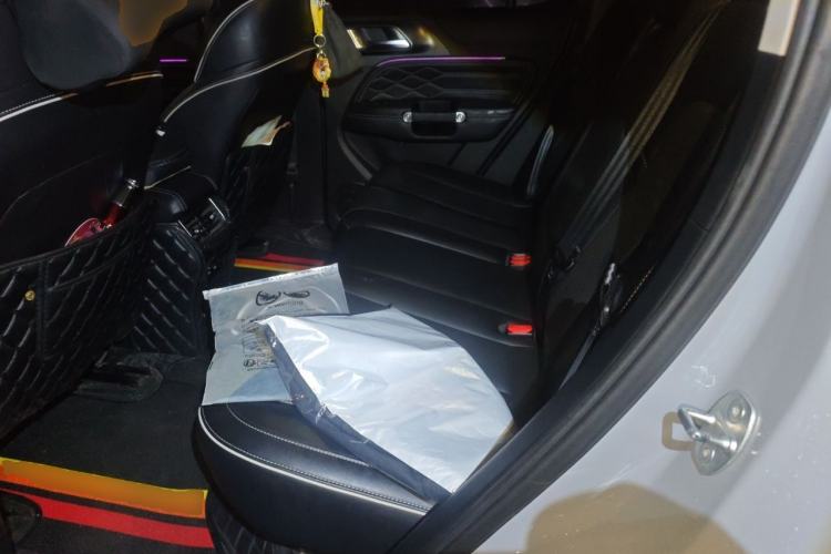 Used Tank 300 2021 Off-Road Edition 2.0T Conqueror Left Rear Seat