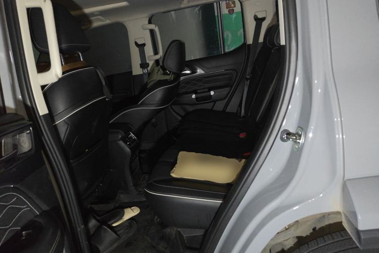 Used Tank 300 2021 City Edition 2.0T—Truly Stylish Left Rear Seat