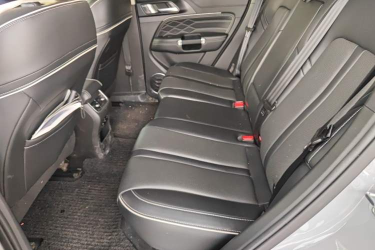 Used Tank 300 2021 Off-Road Edition 2.0T Conqueror Left Rear Seat