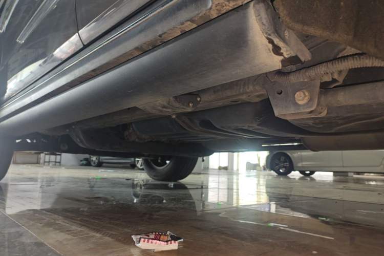 Used Tank 300 2021 City Edition 2.0T—Truly Stylish Left Side Sill