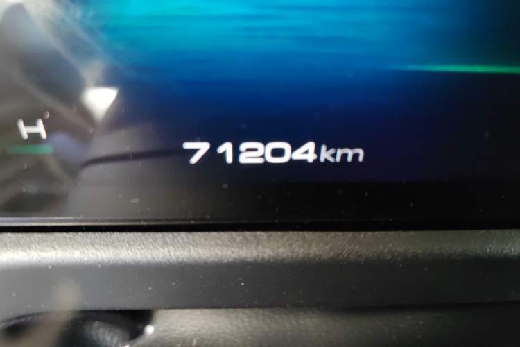 Used Tank 300 2021 Off-Road Edition 2.0T Conqueror Odometer Close Up