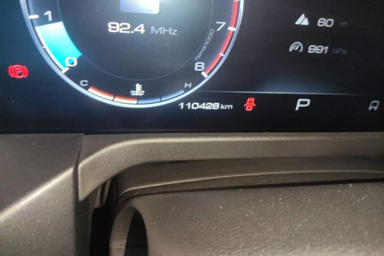 Used Tank 300 2021 Off-Road Edition 2.0T Challenger Odometer Close Up