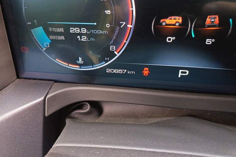 Used Tank 300 2021 City Edition 2.0T—Truly Stylish Odometer Close Up