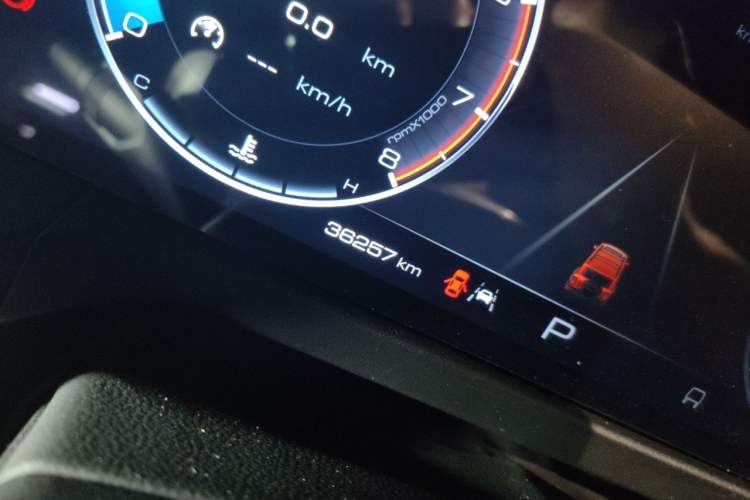 Used Tank 300 2021 Off-Road Edition 2.0T Conqueror Odometer Close Up