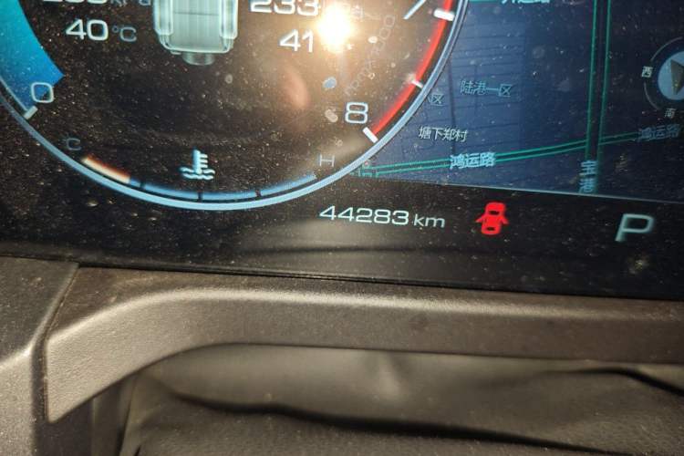 Used Tank 300 2021 Off-Road Edition 2.0T Conqueror Odometer Close Up