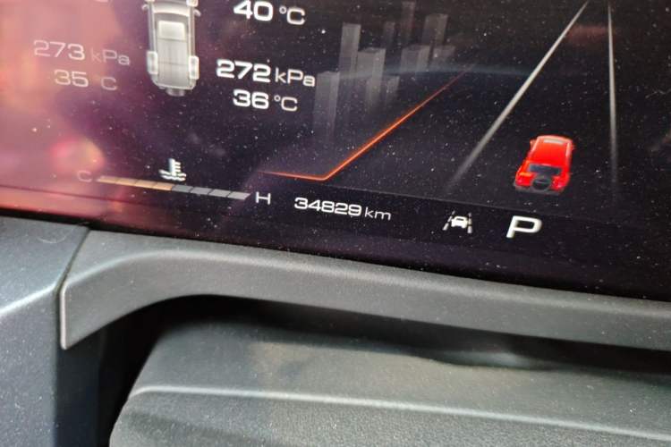 Used Tank 300 2021 City Edition 2.0T—Truly Stylish Odometer Close Up