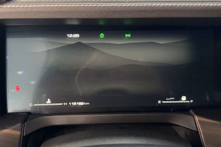 Used Tank 300 2021 Off-Road Edition 2.0T Challenger Odometer Close Up